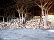 Kaminholz
